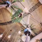 ajuの画像