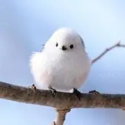 しまえながの画像