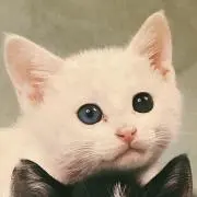 みー★プロフ必読の画像