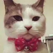 かおるの画像