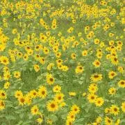 ♡YUMO♡の画像