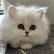 さんさん太陽