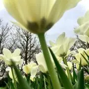 ユーミン
