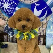 ぼくたっくん