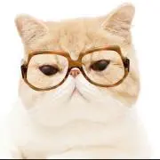 あやの画像