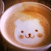APの画像