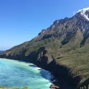 わんこハウスの画像