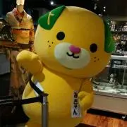 みきゃんの画像