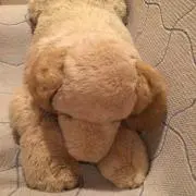 えるふぃ