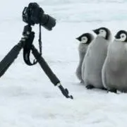 おっさ