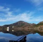 TR　(プロフ確認お願いします)の画像