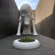 ミモザの画像