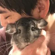 こいちゃんの画像