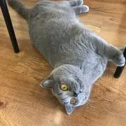 ✧︎*キラリ✧︎*