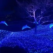 ちぃの画像
