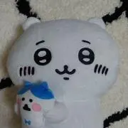 のあの画像