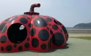 A Iの画像