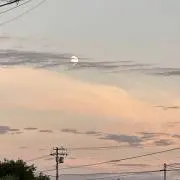 しろの画像