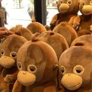 なすの画像