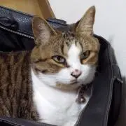 マサアキ
