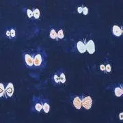 alucaの画像