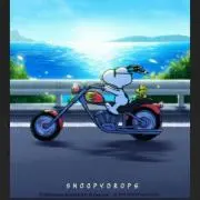 Shampooboy プロフ御一読希望の画像