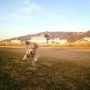 Takaの画像