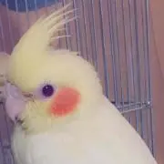 つん