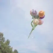 Aの画像