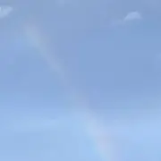 きょの画像