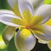 のん❤︎の画像