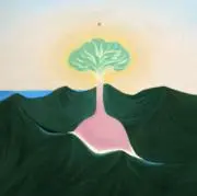 ysの画像