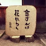 Image of じゃんぷ