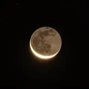 ひなの画像