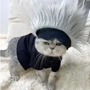 モナ