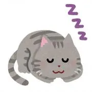 ゆんの画像