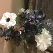 aya