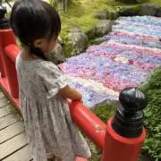 なぎまるの画像