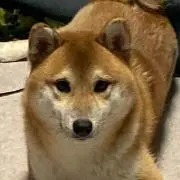 yik