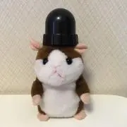 ハムの画像