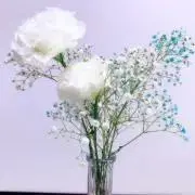 makの画像
