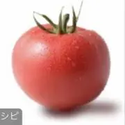 トマジュ–の画像