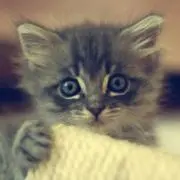 じゅん