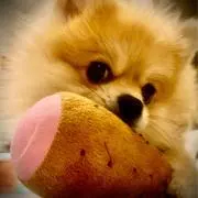 ひ　で　き　ち