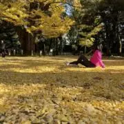 そよ風の画像