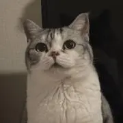 ゆい太郎の画像