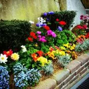 お花はんの画像