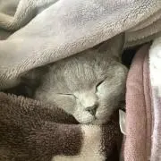 えみの画像
