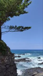 こーの画像