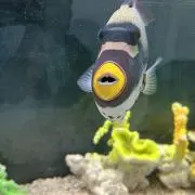 ニコ☺︎